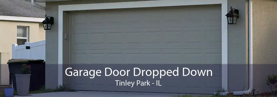 Garage Door Dropped Down Tinley Park - IL