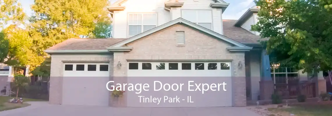 Garage Door Expert Tinley Park - IL