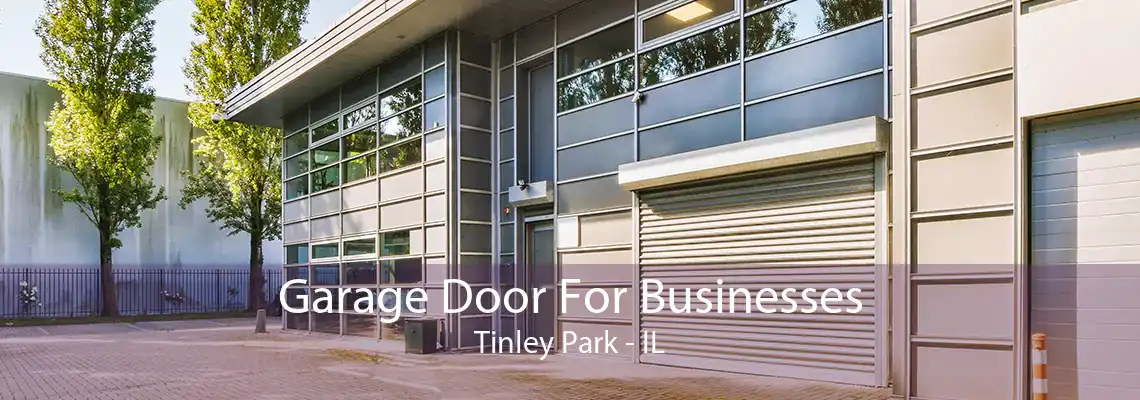 Garage Door For Businesses Tinley Park - IL