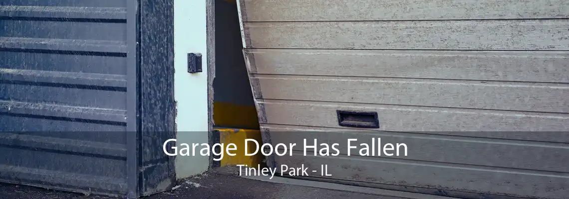 Garage Door Has Fallen Tinley Park - IL