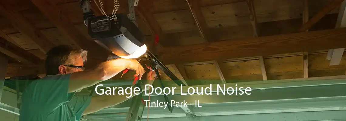 Garage Door Loud Noise Tinley Park - IL