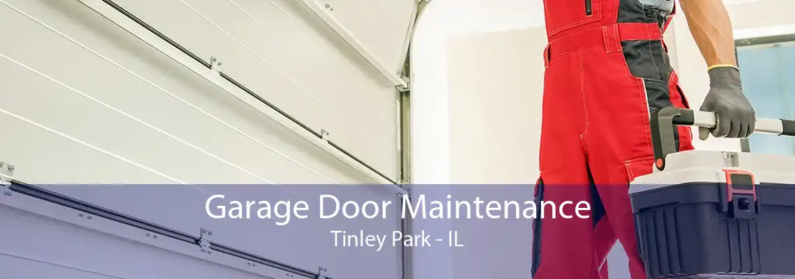 Garage Door Maintenance Tinley Park - IL