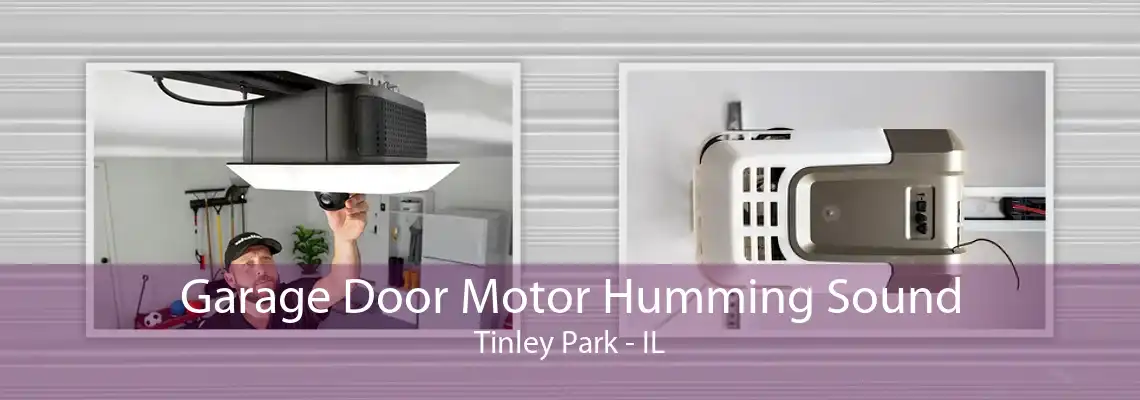 Garage Door Motor Humming Sound Tinley Park - IL