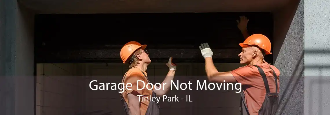 Garage Door Not Moving Tinley Park - IL