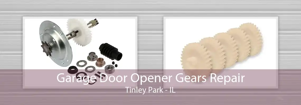 Garage Door Opener Gears Repair Tinley Park - IL