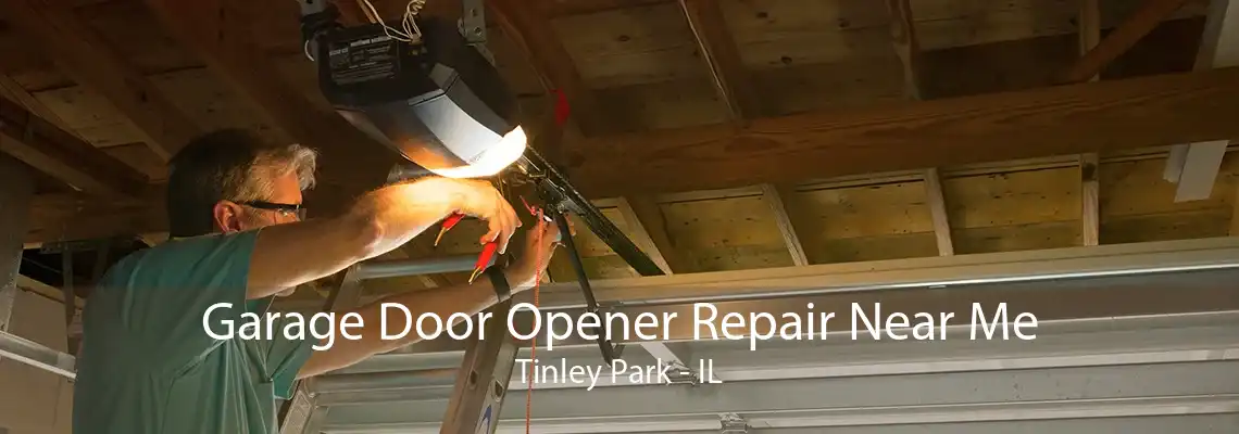 Garage Door Opener Repair Near Me Tinley Park - IL