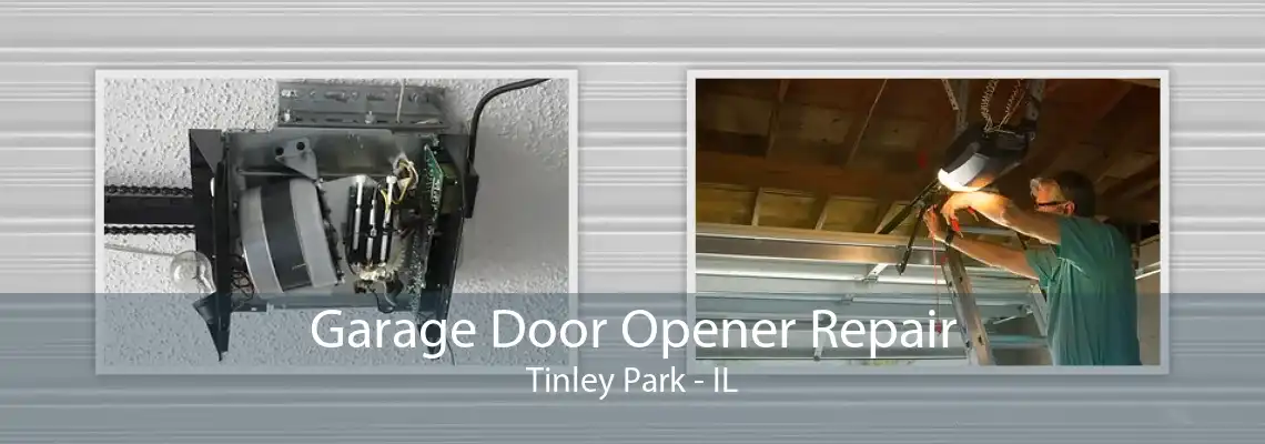 Garage Door Opener Repair Tinley Park - IL