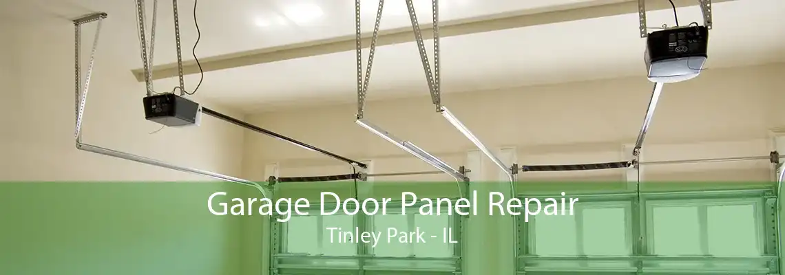 Garage Door Panel Repair Tinley Park - IL