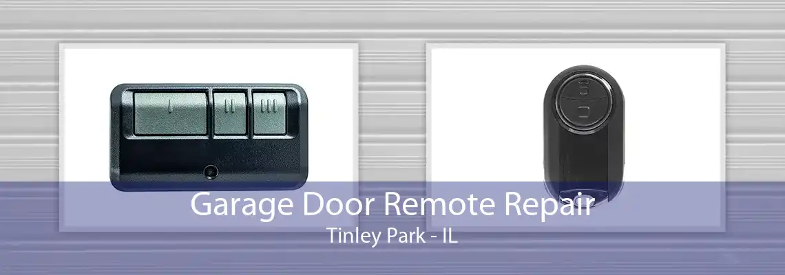 Garage Door Remote Repair Tinley Park - IL