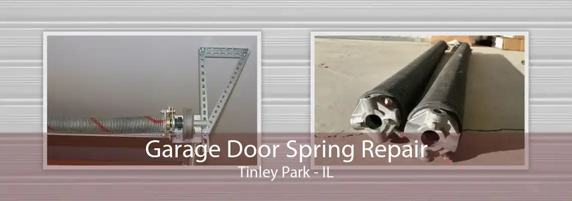 Garage Door Spring Repair Tinley Park - IL