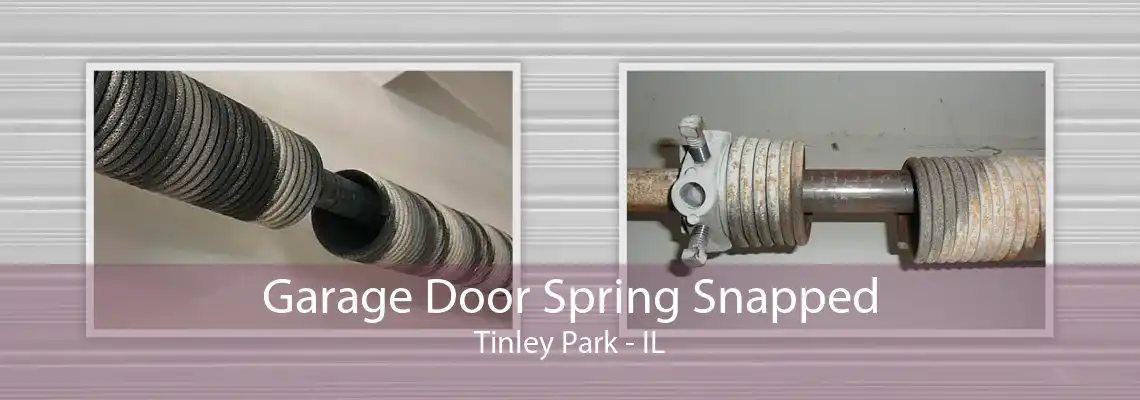 Garage Door Spring Snapped Tinley Park - IL