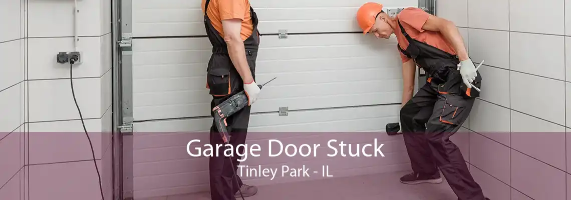 Garage Door Stuck Tinley Park - IL