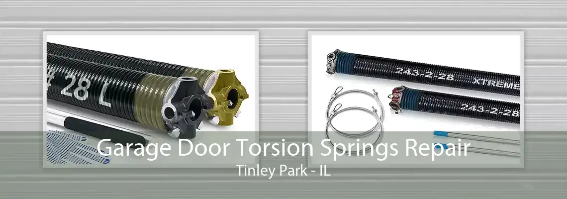 Garage Door Torsion Springs Repair Tinley Park - IL