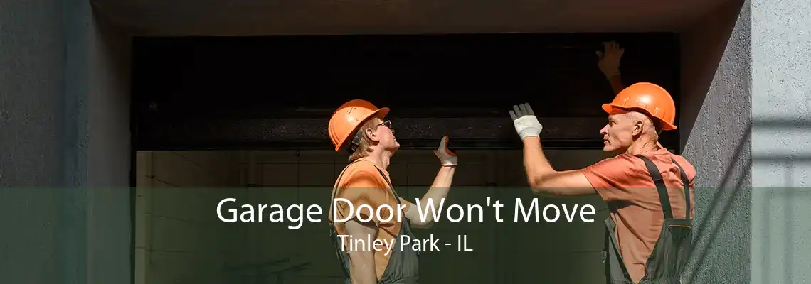 Garage Door Won't Move Tinley Park - IL