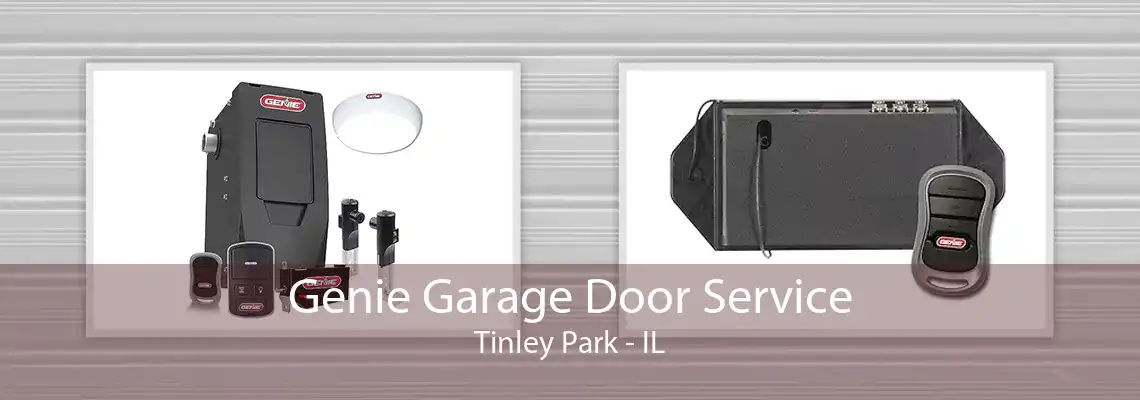 Genie Garage Door Service Tinley Park - IL