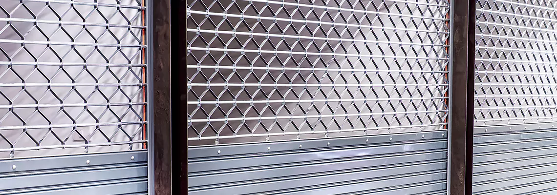 Rolling Grille Door Replacement in Tinley Park, IL