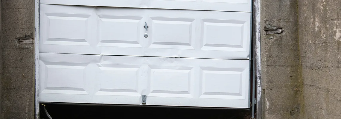 Garage Door Got Hit By A Car Dent Removal in Tinley Park, IL