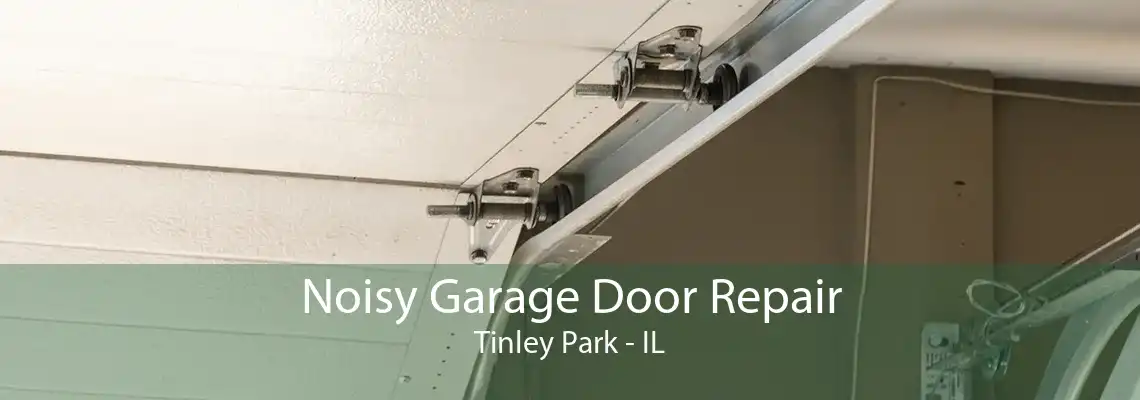 Noisy Garage Door Repair Tinley Park - IL